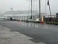 Kreuzfahrtschiff im Hafen und Masten einer Segelyacht auf Zwischenstopp von Reykjavík nach Hamburg.