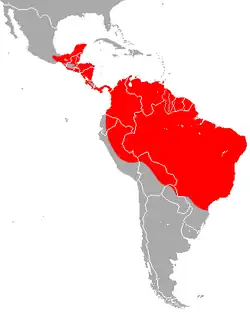 Verbreitungsgebiet von Peropteryx macrotis