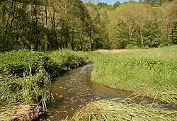 Weitere Verzweigung des Nebenarms