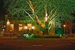 Lichtwerk Kino im Ravensberger Park