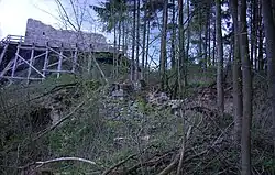Der Hauptbau von Osten. Die Zugehörigkeit der Gebäude- und Gewölbereste im Vordergrund zur Burganlage ist unklar.