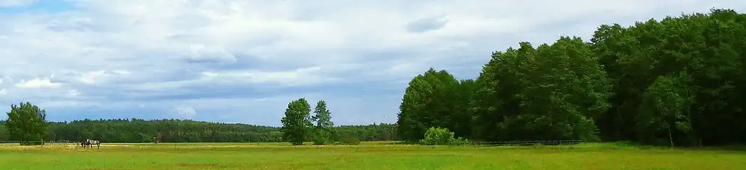 Die Liebenwerdaer Heide nahe dem Dobraer Jagdhaus (2017)