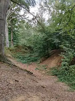 Die „Römerwacht“ auf dem Liedberg