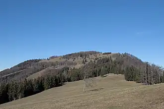 Blick Richtung Gipfel von Süden