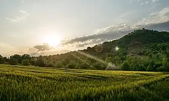 Sicht aus Richtung Hepsisau und Neidlingen