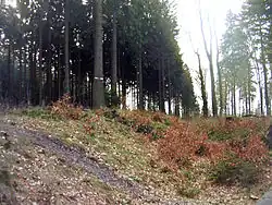 Limes beim Wachturm Wp&nbsp;3/54[6]