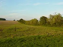 Blick auf den Limes von SW, auf der Höhe von Wp 4/47 (gegenüberliegende Limesseite)