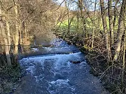 Lindlarer Sülz bei Siebensiefen