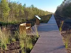 Der neue Steg durch das Moor führt zur Heile-Haut-Fläche.
