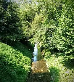 … in Au vor der Einmündung in den Rheintaler Binnenkanal
