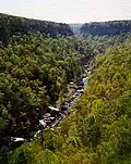 Little River Canyon, nahe Fort Payne