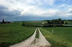 Lobsigensee – Feldweg von Unterdorfstrasse zum kleinen See