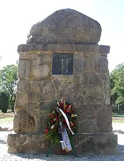 Lönsstein auf dem Wietzer Berg
