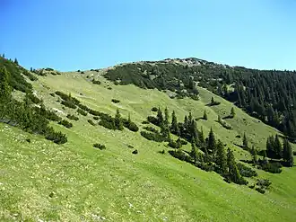 Lösertalkopf, Südflanke