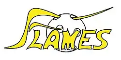 Logo der Jona-Uznach Flames