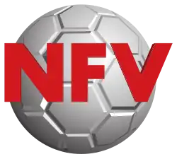 Logo NFV