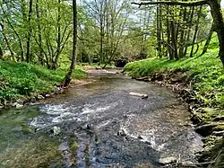 Die Lohr in Frammersbach