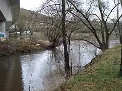 Die Lohr mündet in den Main