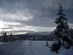 Loipe am Großen Sonnenberg