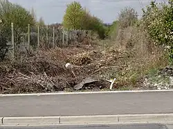 Reste der Abraumhalde Nr. 206