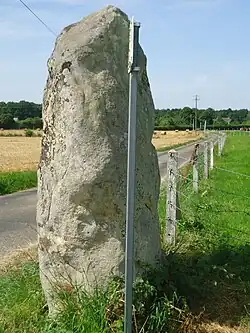 Longue Pierre von Landepéreuse