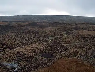 Blick nach Osten über Bleaklow