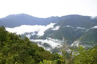 Yungas in Bolivien