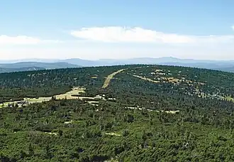 Blick vom Reifträger