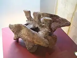 Becken von Lufengosaurus huenei im Cosmocaixa in Barcelona