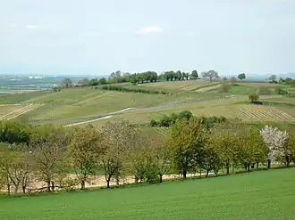 Der Luginsland bei Müllheim