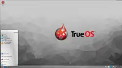 Bildschirmfoto von TrueOS&nbsp;11.0