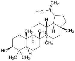 Strukturformel von Lupeol