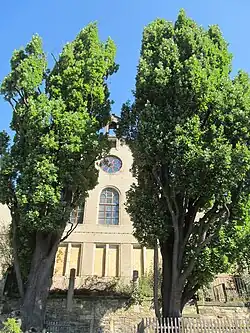 Luthereichen Gorbitz