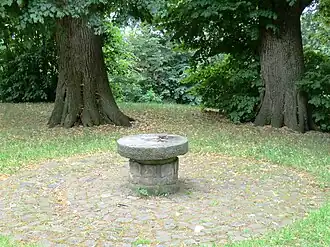 Höchster Punkt des Luttenbergs