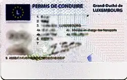 Luxembourg, permis de conduire CE (recto)