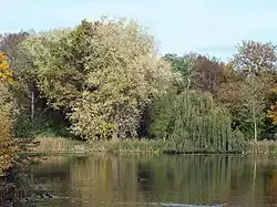 Nordufer des Parkteichs