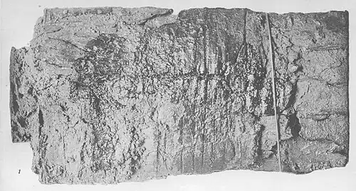 Detailansicht der Schwertscheide