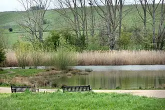 Die Mühlbachaue – renaturiertes Biotop und Landschaftspark