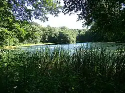 Ovelgönner Mühlenteich.