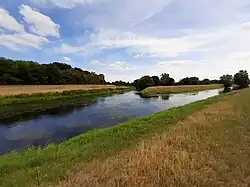 Mündung der Neuen Luppe in die Weiße Elster