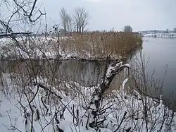 Mündung Inninger Bach in Amper Februar 2013