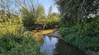 Mittlere Ebrach (rechter Fluss) mündet in die Rauhe Ebrach