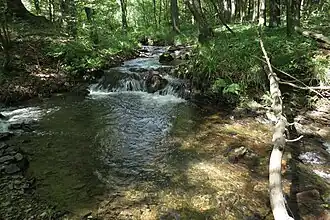 Ilse (von links) an der Einmündung des (Schwarzen) Langenbachs (2015)