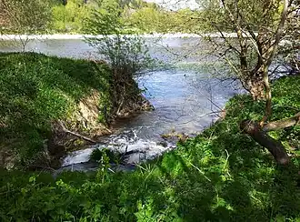 Totholz und Geschwemmsel