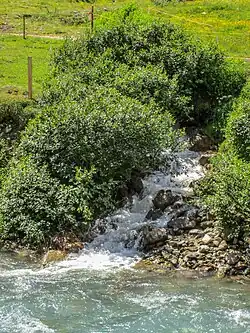 Mündung des Griessenbachs