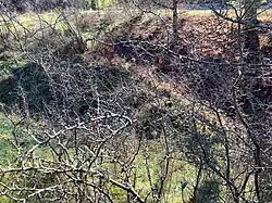 Mündung des Schrannental­grabens (rechts) in den Haintal­graben (2022)