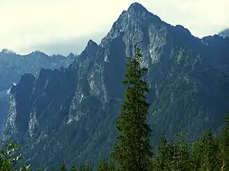 Der Mlynár von der Alm Palenica Białczańska