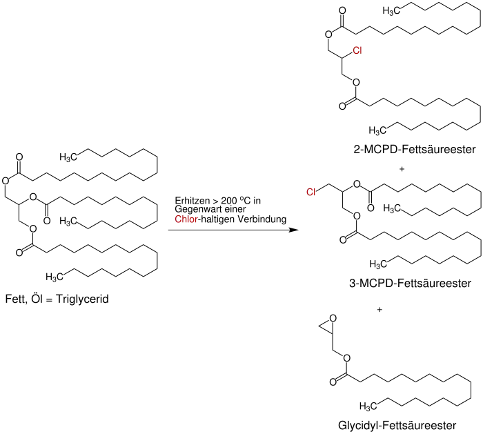 Schematische Darstellung der Bildung eines 2-MPCD-Fettsäureesters, eines 3-MCPD-Fettsäureesters und eines Gycidyl-Fettsäureesters aus einem Fett oder Öl.