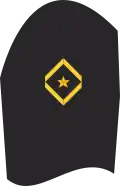 Dienstgradabzeichen eines Seekadetts (nicht Sanitätsoffizieranwärter) auf dem Oberärmel der Jacke des Dienstanzuges für Marineuniformträger