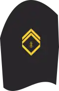 Dienstgradabzeichen eines Obermaats (20-er Verwendungsreihe) auf dem Oberärmel der Jacke des Dienstanzuges für Marineuniformträger